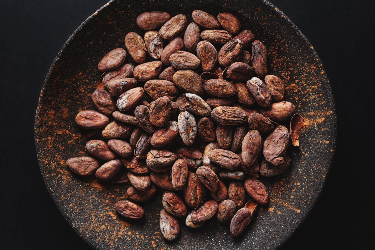 Roasted Cacao Beans