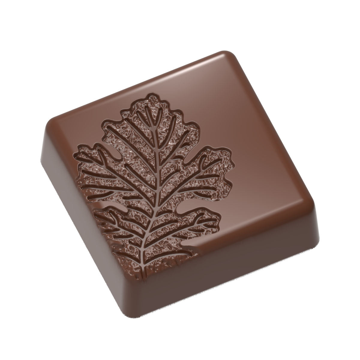 Zucchero Canada