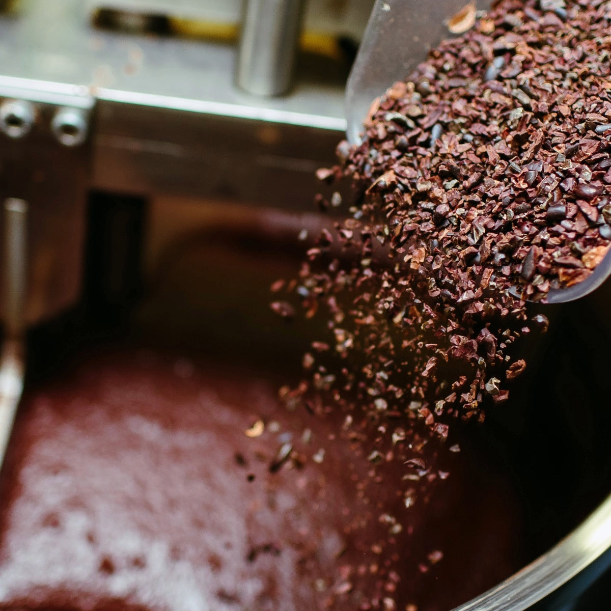 History of Cacao: A Fascinating Story